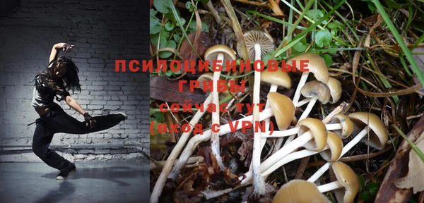первитин Мегион