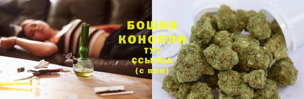шишки Магадан