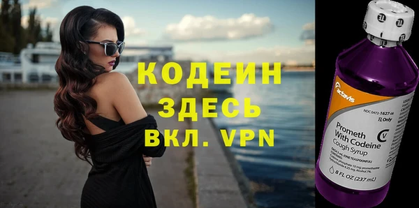 гашик Майский