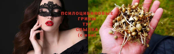 шишки Магадан