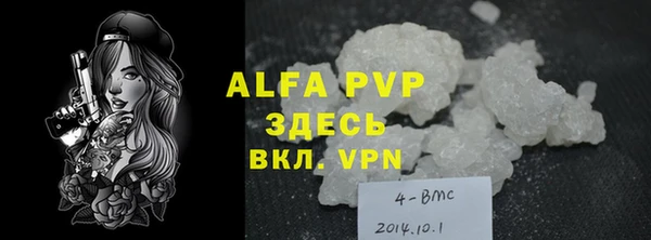 гашик Майский