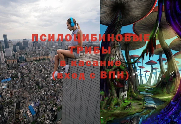 гашик Майский