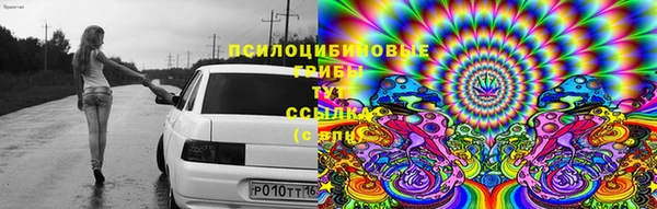 шишки Магадан