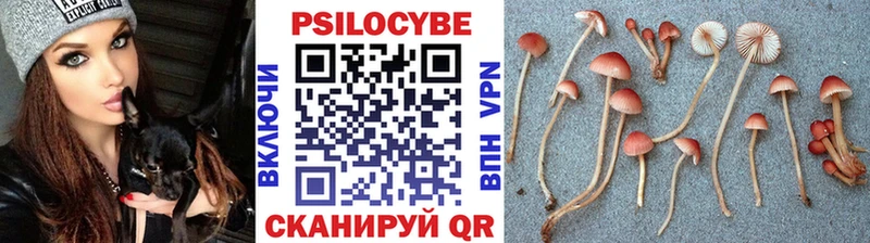 Галлюциногенные грибы прущие грибы  Правдинск 
